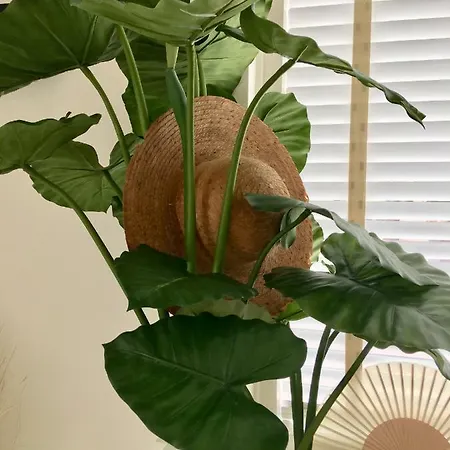 De Zeeparel Ferienhaus *