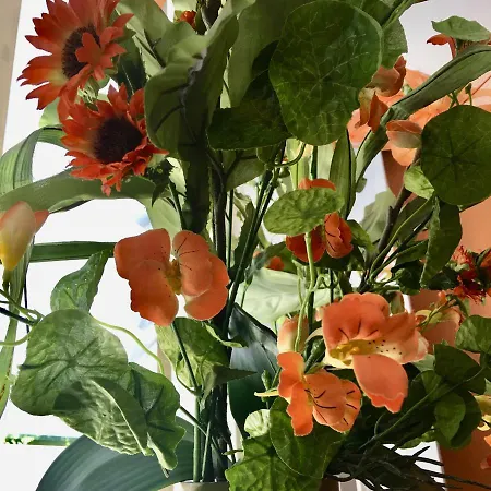 De Zeeparel Prázdninový dům *