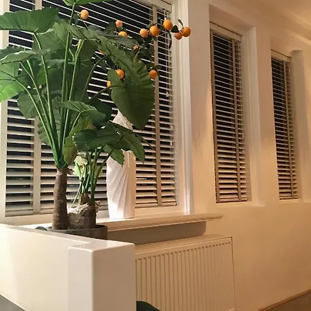 Holiday home De Zeeparel Zandvoort
