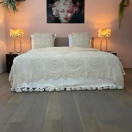Holiday home De Zeeparel Zandvoort