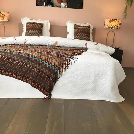 De Zeeparel Holiday home *