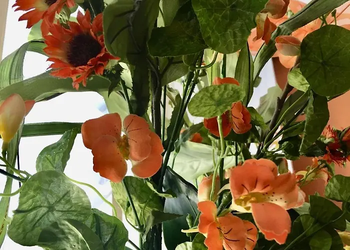 De Zeeparel Vakantiehuis *