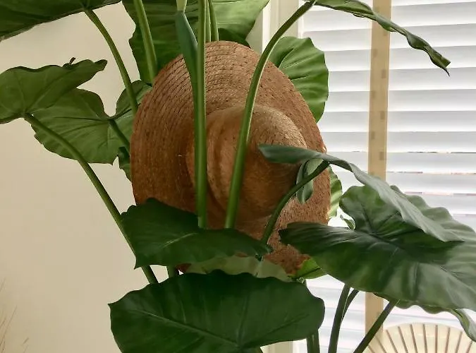 De Zeeparel Vakantiehuis *